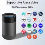 Alexa Built-in Control Wireless Speaker